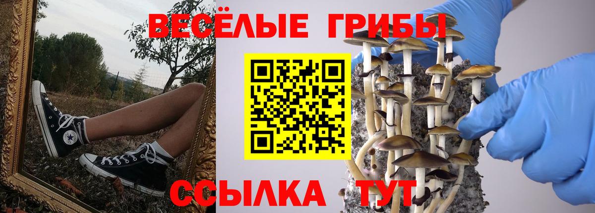 Псилоцибиновые грибы Cubensis  Вход с VPN  Видное  Псилоцибиновые грибы MAGIC MUSHROOMS 
